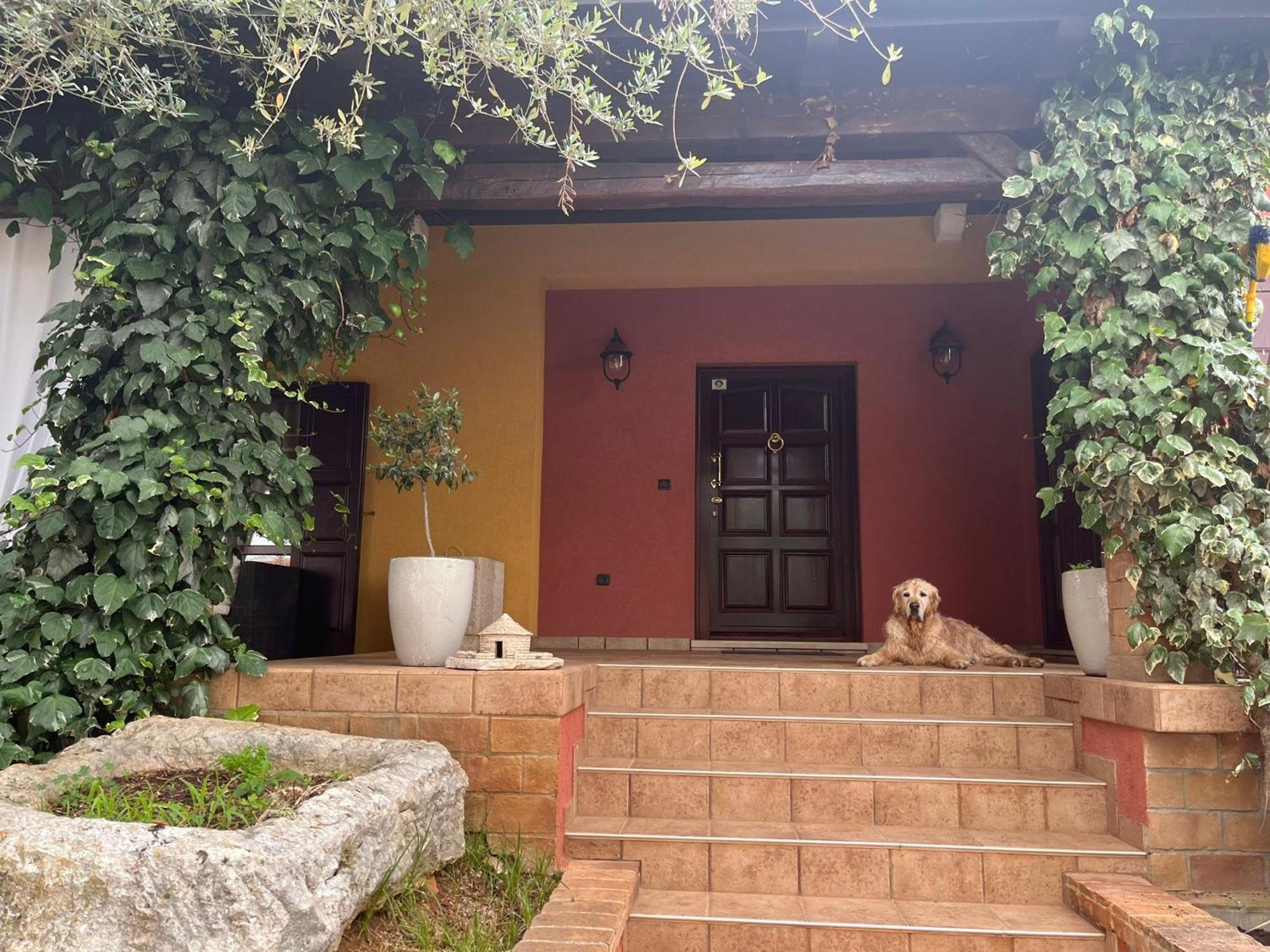 New!!! La Magrina - Bed&Breakfast Vrsar Exterior photo